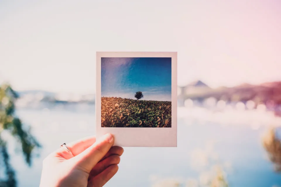 Hand holds an instant photo of a lone tree against a hazy lake.
