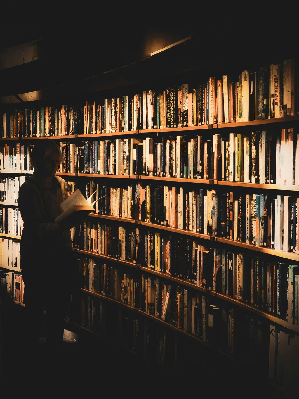 Person in silhouette reads a book in front of a wall of bookshelves glowing in warm amber light.